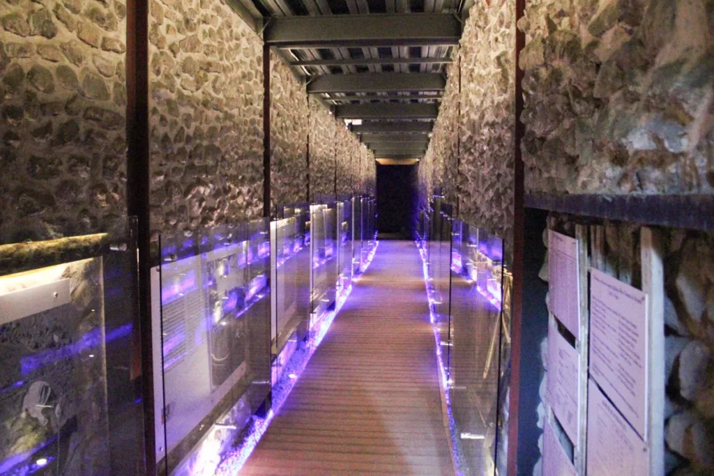 FOTOS: Reabre al público el Pasaje Histórico 5 de Mayo 9 puente de bubas rehabilitacion 6