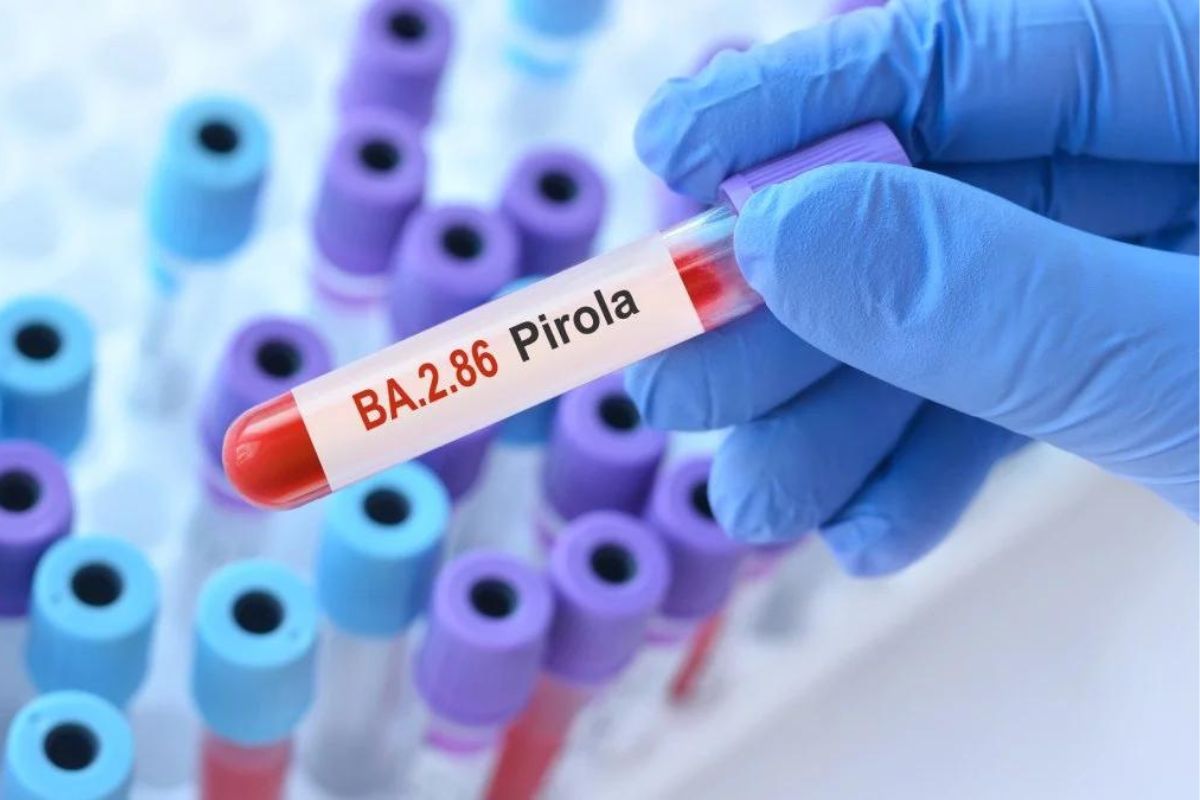 Pirola, nueva variante de COVID-19 que es más contagiosa 1 Pirola variante covid