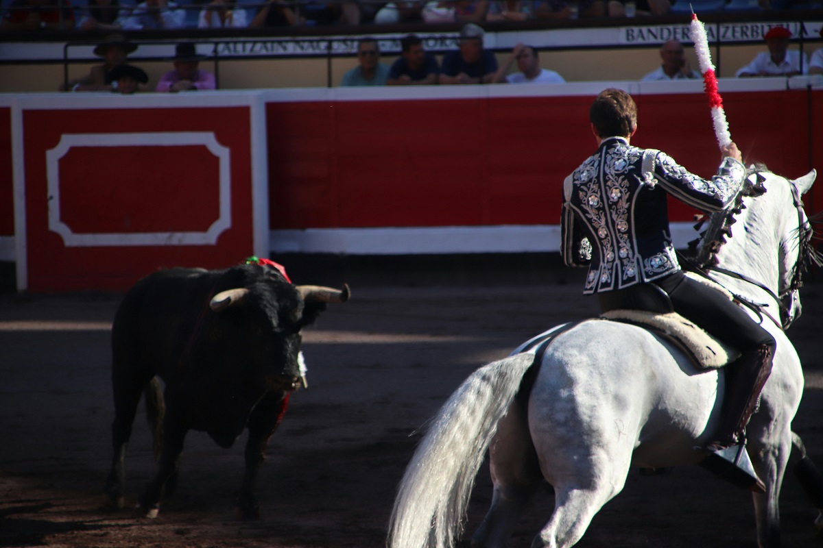 Analizan corridas de toros en la Feria de Puebla; antes del 28 de febrero se conocerá el cartel de artistas 1 Analizan corridas de toros en la Feria de Puebla