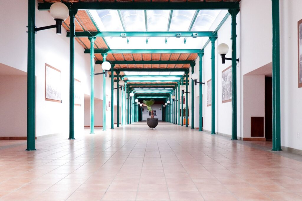 Atlixco 14 de febrero 1