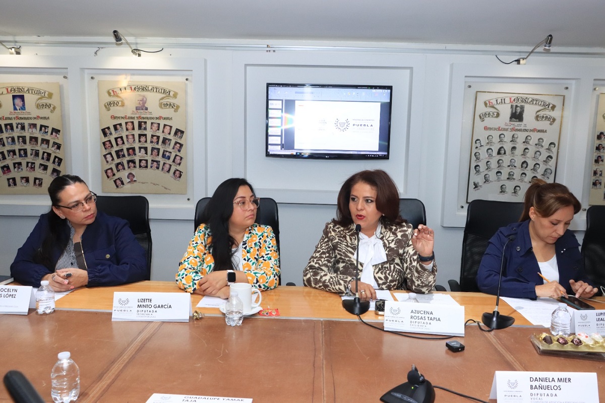 Presentan en Comisión del Congreso proyecto de Convocatoria para el proceso de consulta en materia de salud mental 1 Presentan en Comisión del Congreso proyecto de Convocatoria para el proceso de consulta en materia de salud mental