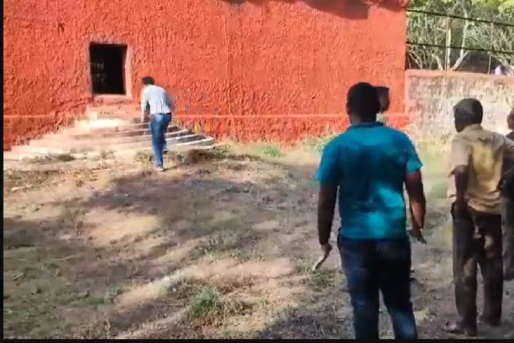 VIDEO Hombre es devorado por un león al intentar tomarse una selfie con él en India