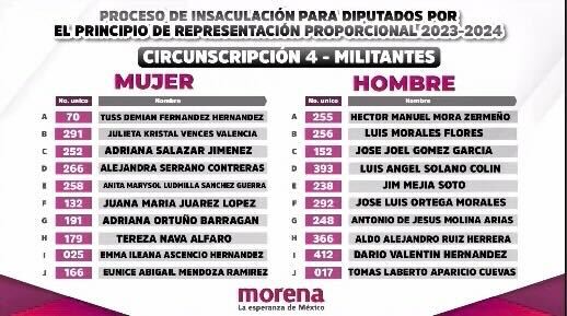 candidatos pluris de Puebla Morena1