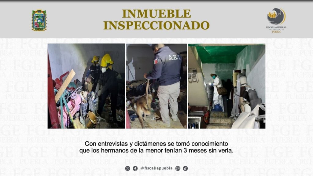 cateos desaparicion nina neri