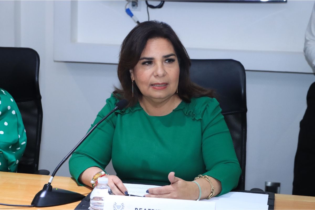 Secretaria de Medio Ambiente, Desarrollo Sustentable y Ordenamiento Territorial comparece en Comisión del Congreso 1 comparecencia Medio Ambiente 2024