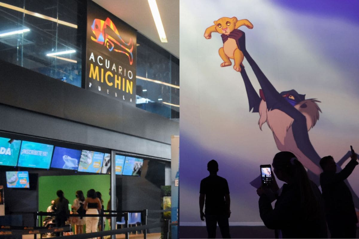 Disney Animation y Acuario Michin regalan cortesías en primera Noche de Museos de Puebla 1 Noche de Museos regala cortesías 2024 Puebla