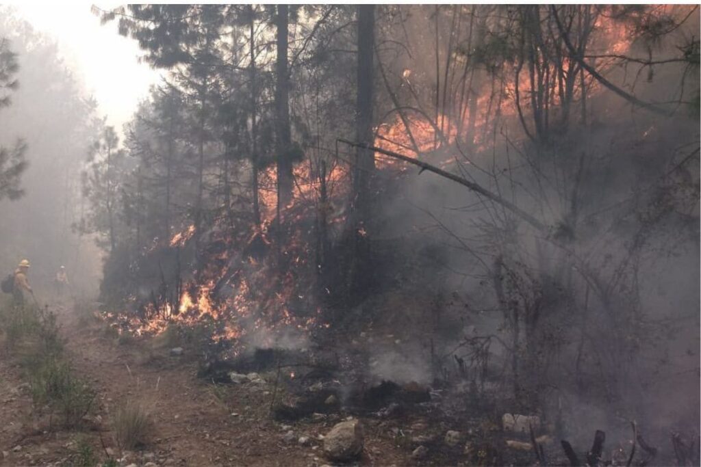 incendio Ixtacamaxtitlán reactivado por pobladores
