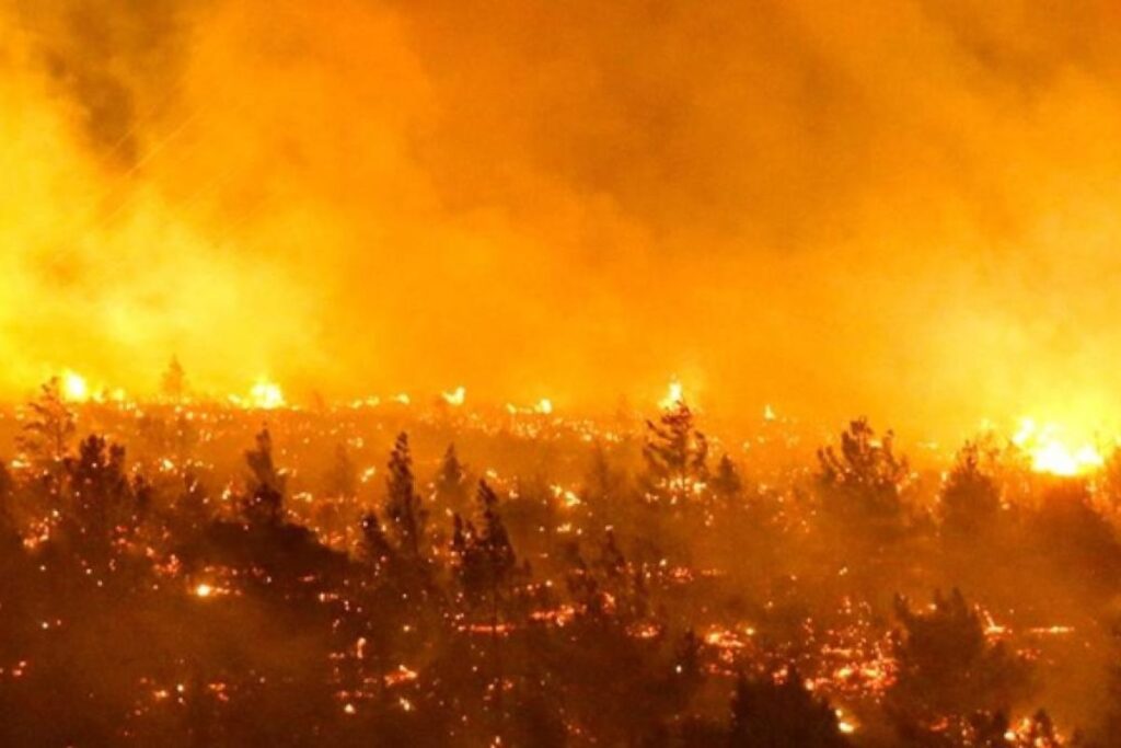 incendios forestales Chile 2024