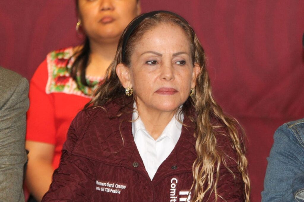 Morena revelará lista de candidatos a diputados locales