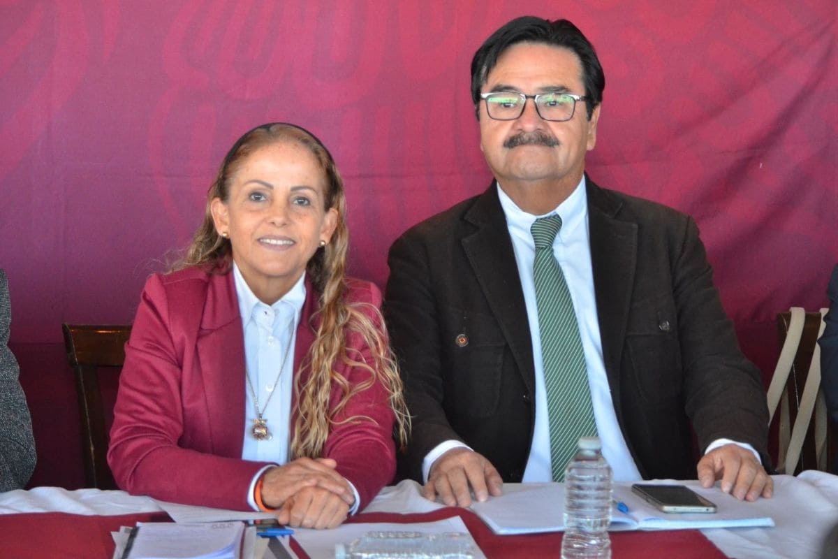 deficiones de Morena se informarán por medios oficiales