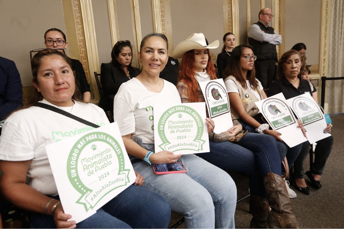 Movimiento Animalista busca evitar corridas de todos en Feria de Puebla 2024 1 ONG busca evitar corridas de toros en Feria de Puebla 2024