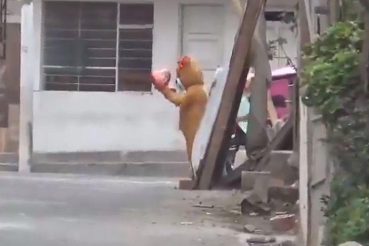 San Valentín: policía de Perú se disfraza de oso de peluche para detener a mujer 1 policía de Perú vestido de oso