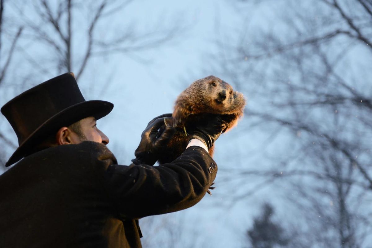 ¿Qué es el Día de la Marmota? 1 Día de la Marmota