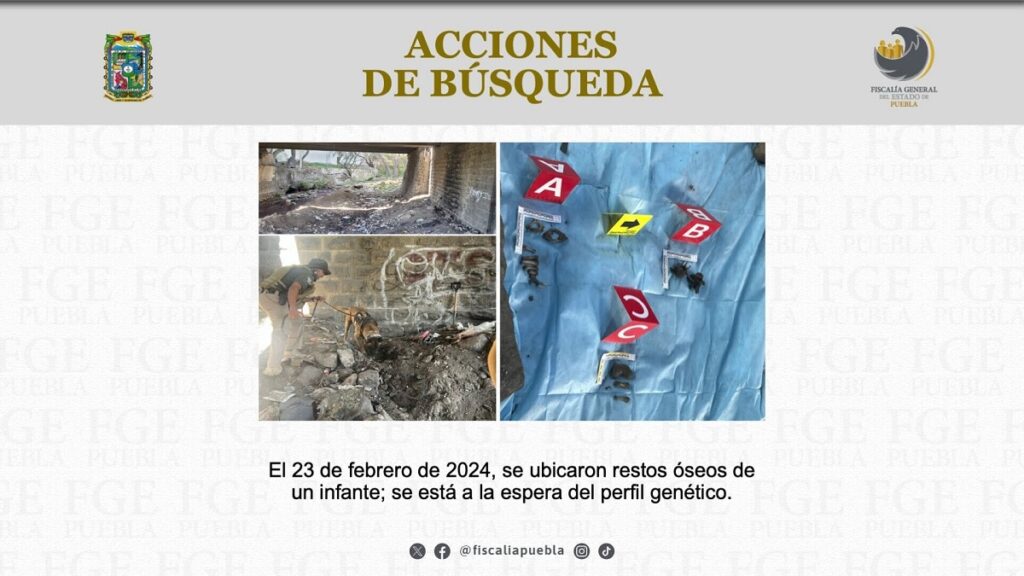 restos oseos nina neri hallados