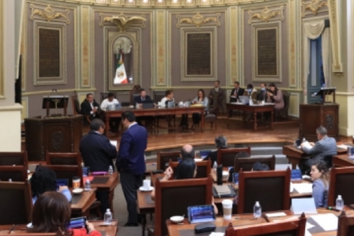 Congreso del Estado de Puebla tipifica la zoofilia; aprueba reformas en materia de bienestar animal 1 zoofilia congreso