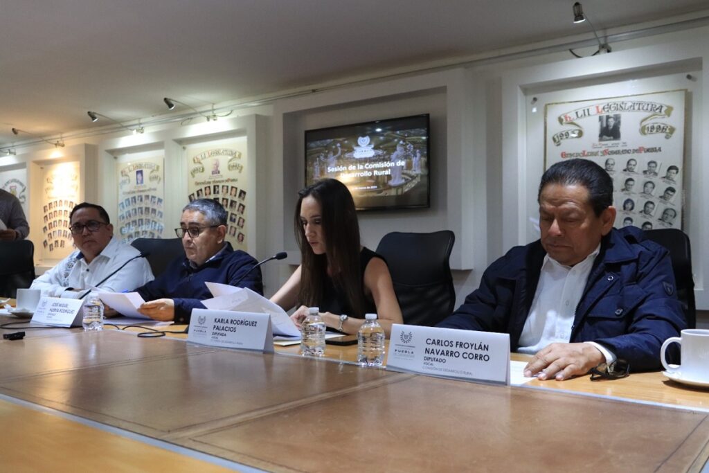 Aprueban en Comisión del Congreso acuerdo para promover programas de apoyo a productores de naranja