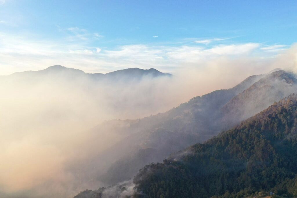 Estas son las estrategias de la Secretaria de Medio Ambiente para prevenir incendios forestales