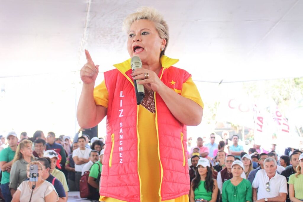 Isabel Merlo suplente de Liz Sánchez