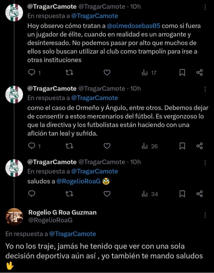 Renacer de las cenizas.