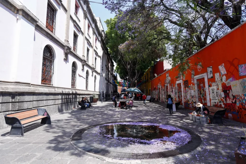 retiran letras gigantes de Los Sapos