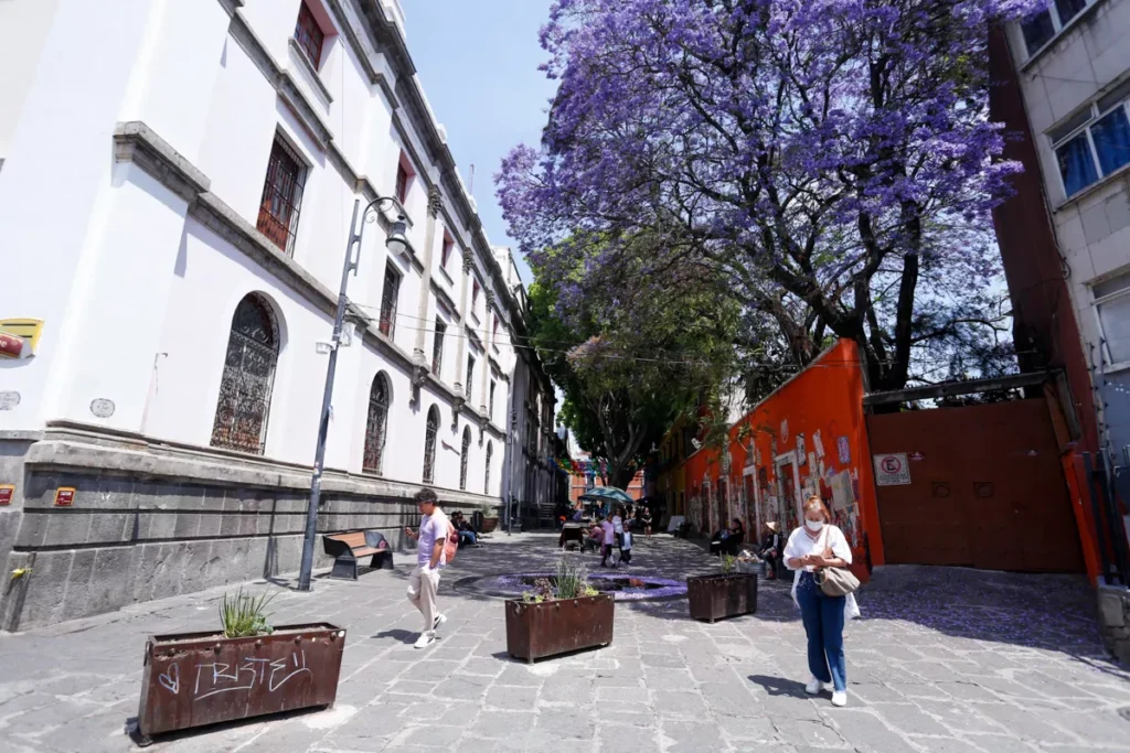 FOTOS/VIDEOS: Ayuntamiento de Puebla retira letras gigantes de Los Sapos 12 Retiro de Letras del barrio de Los Sapos Puebla 2
