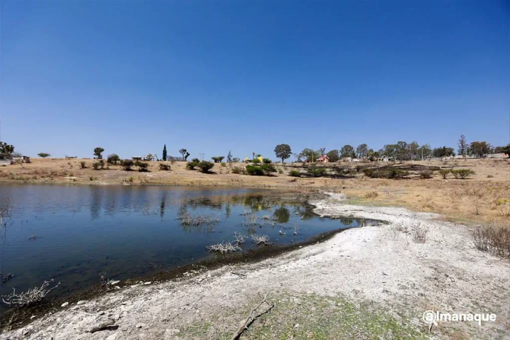 Sequia Presa de Valsequillo Puebla 12