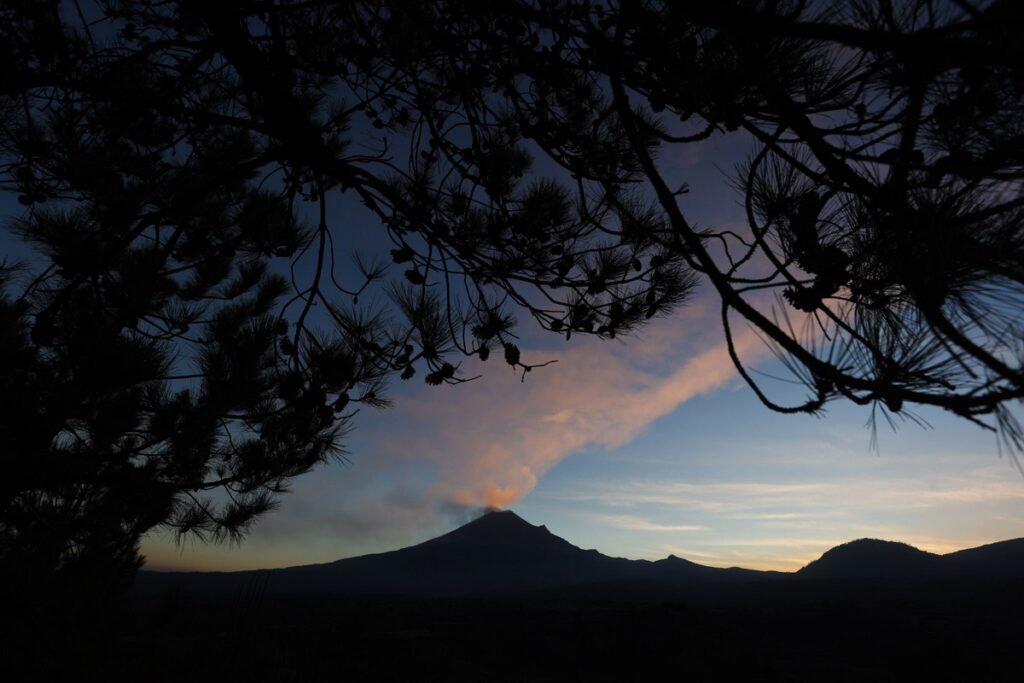¿La ceniza del Popocatépetl sirve para las plantas?
