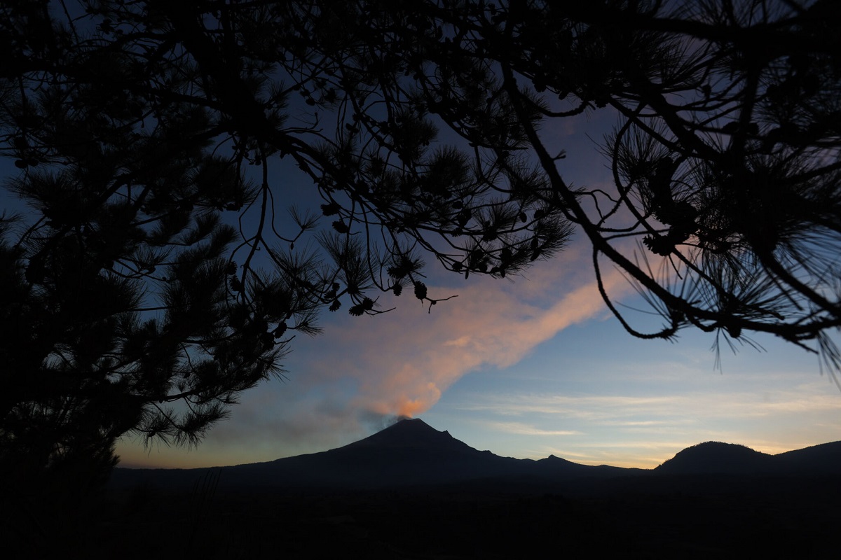 ¿La ceniza del Popocatépetl sirve para las plantas? 8 ¿La ceniza del Popocatépetl sirve para las plantas?