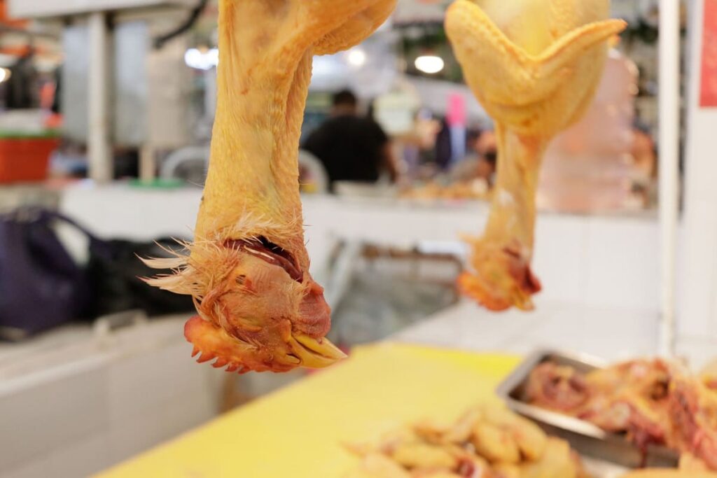 alimentos sindrome Guillain Barre