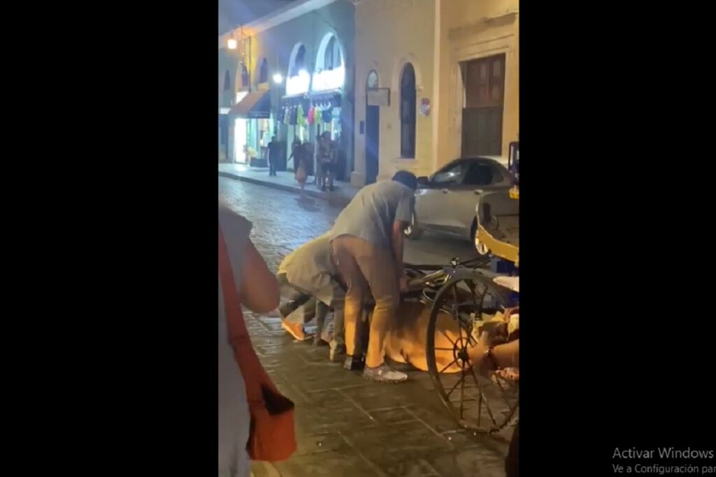 VIDEO: Caballo cae de cansancio mientras jalaba una calandria con turistas en Mérida