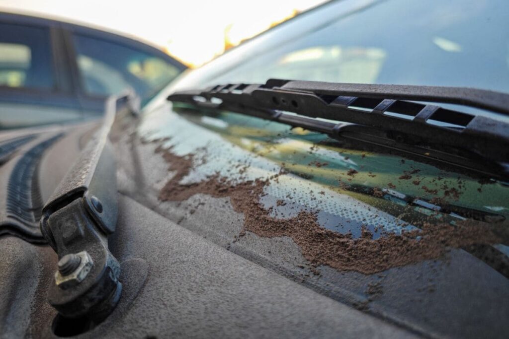 municipios de Puebla con caída de ceniza