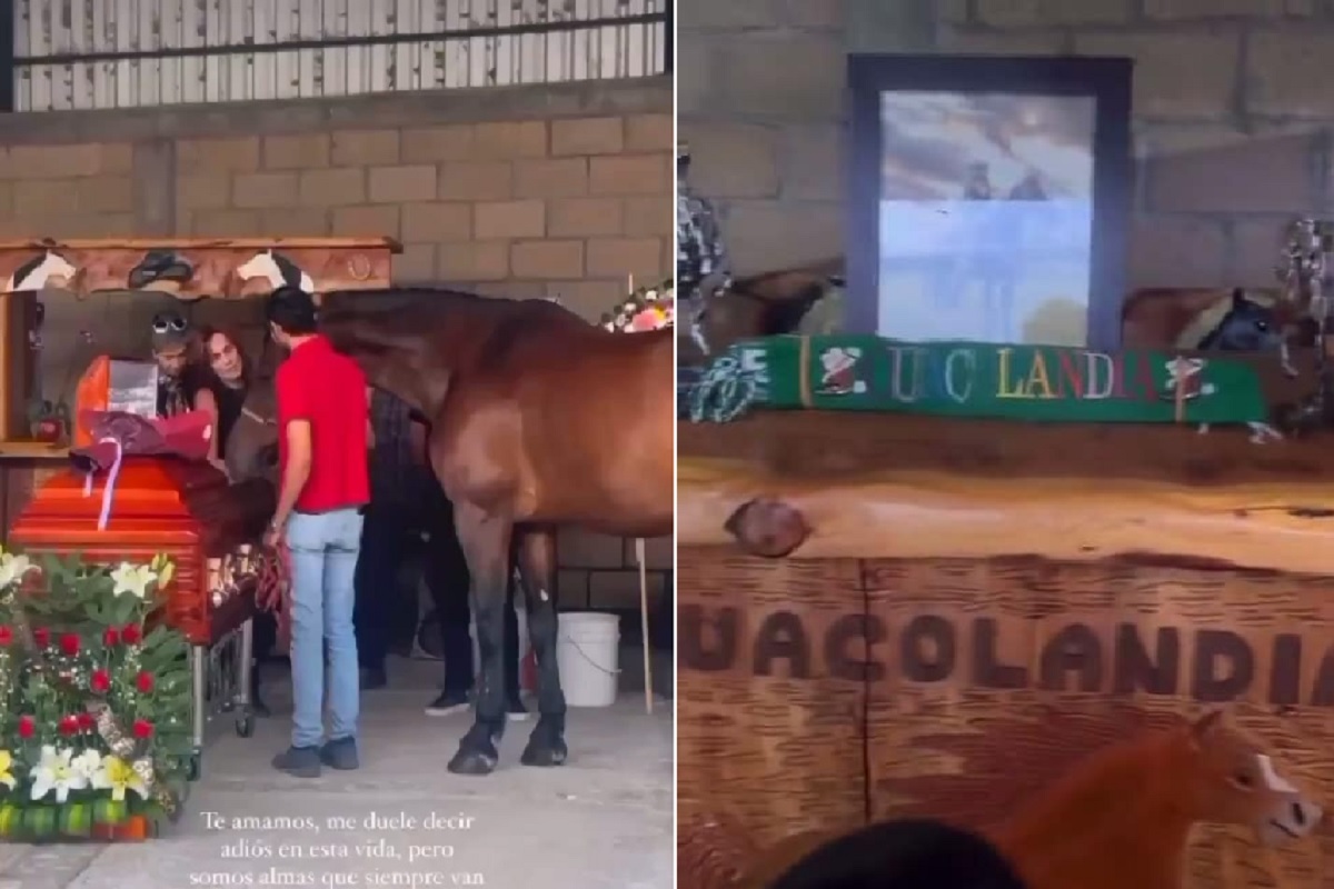 cuacolandia da el ultimo adios a elena larrea