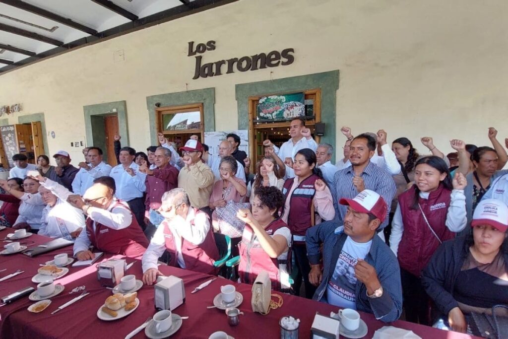 designación de Tonantzin Fernández causa división en Morena