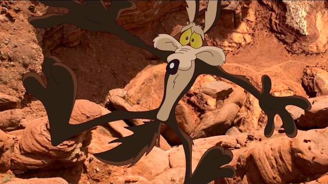 escenas coyote vs acme pelicula