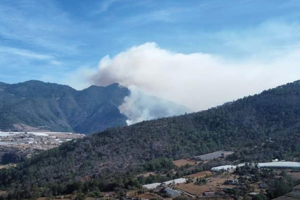 Brigadas siguen combatiendo incendios forestales en Puebla; ahora en Tetela y Coyomeapan 1 incendios forestales en Puebla 26 de marzo