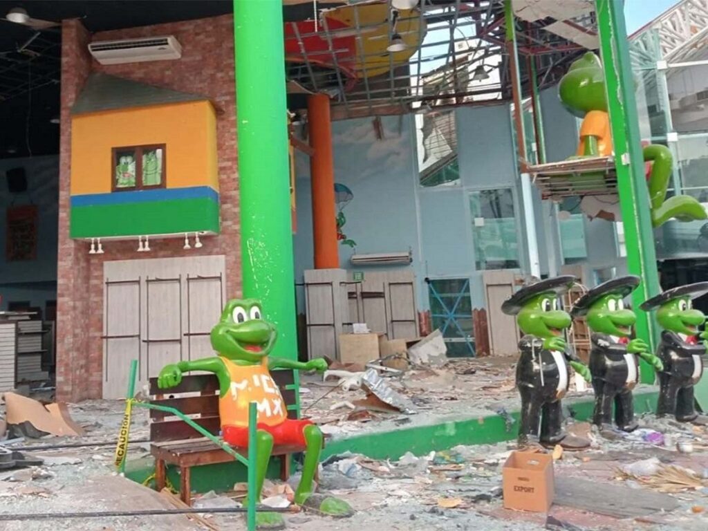 Rescatan ranas de Sr Frog’s Acapulco: Estaban en Neza; las robó líder de RCP 6 mr frogs robo