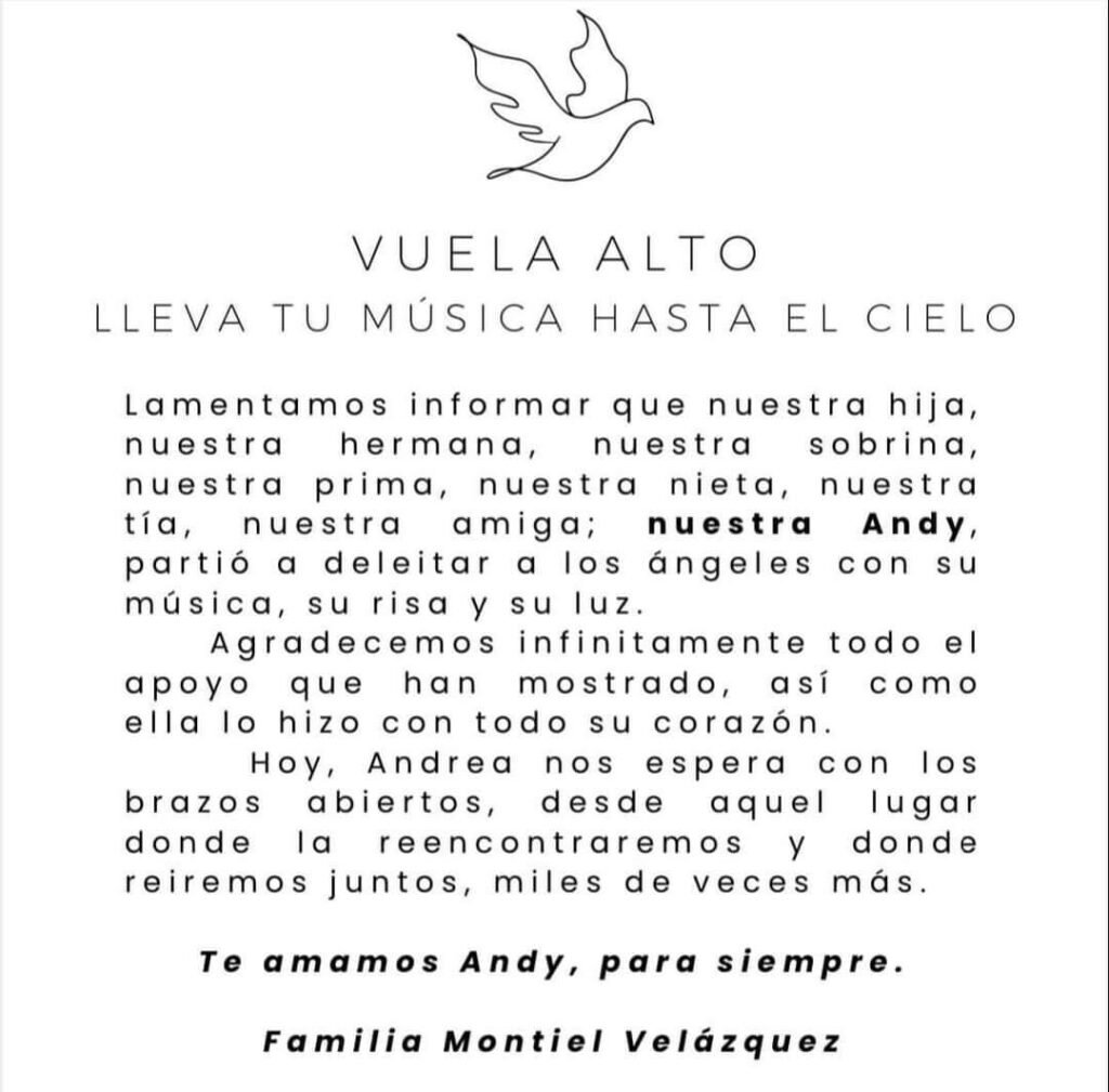 Muere Andrea Montiel, estudiante de la BUAP atropellada en Zavaleta tras un mes en el hospital 5 muere andrea montiel estudiante de la buap atropellada en zavaleta