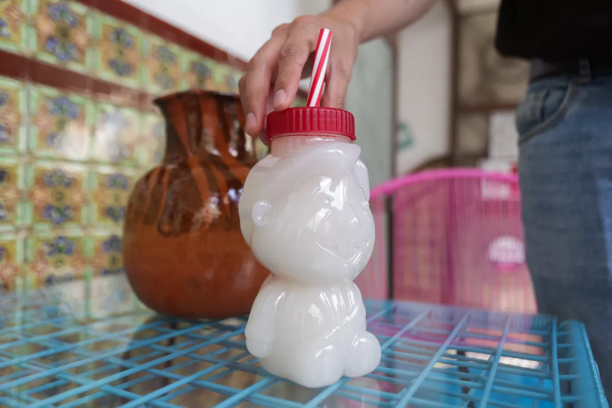 Amlitros pulque en Puebla 3