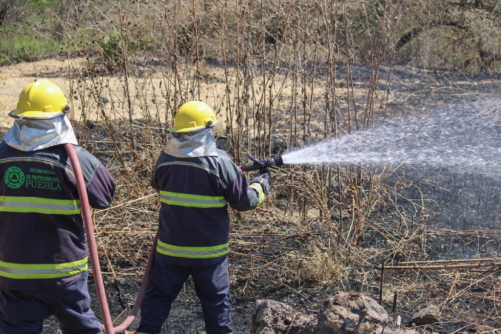 Llama PC Estatal a seguir recomendaciones y prevenir incendios forestales y urbanos