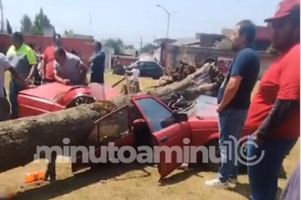 Enorme árbol cae sobre un auto y lesiona a un bebé y a su madre en Beristáin