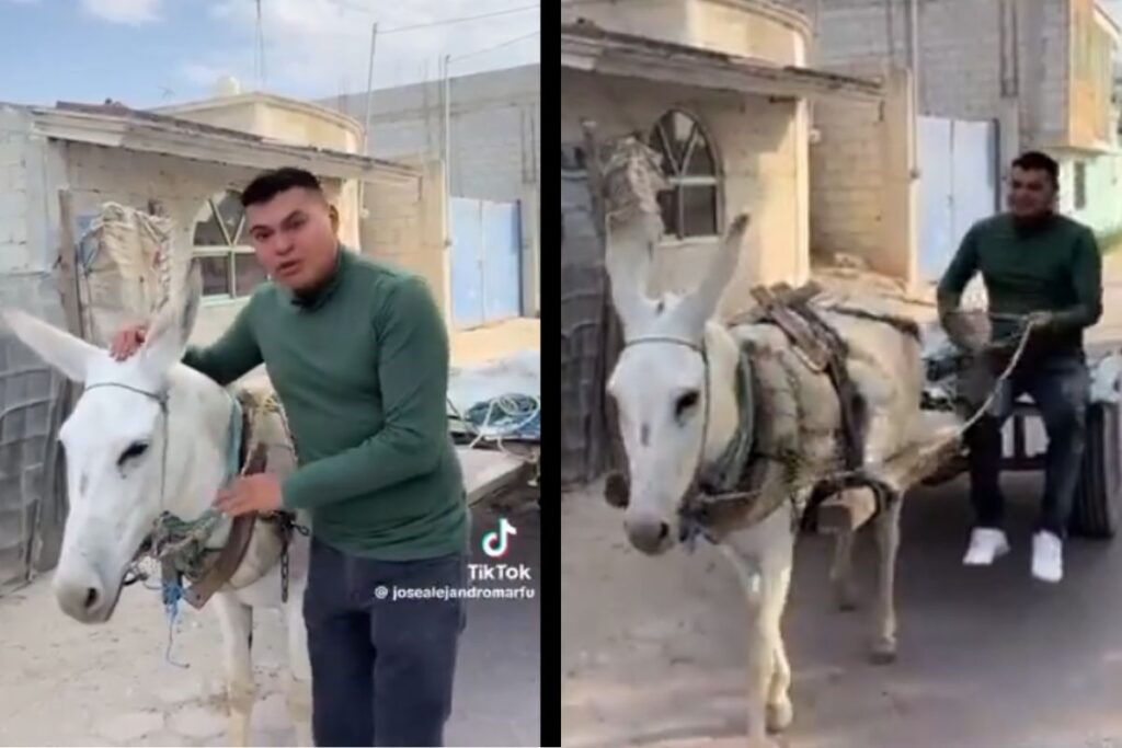 ex alcalde de Quecholac en burro