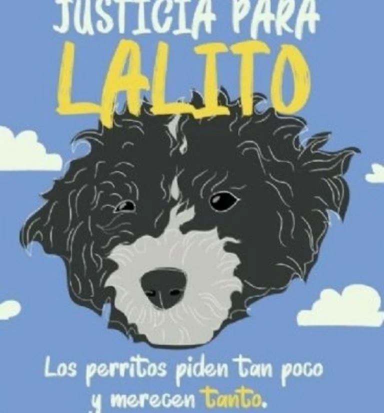 exigen justiciaparalalito