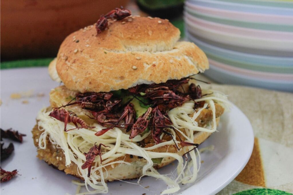 feria de la cemita con chapulines