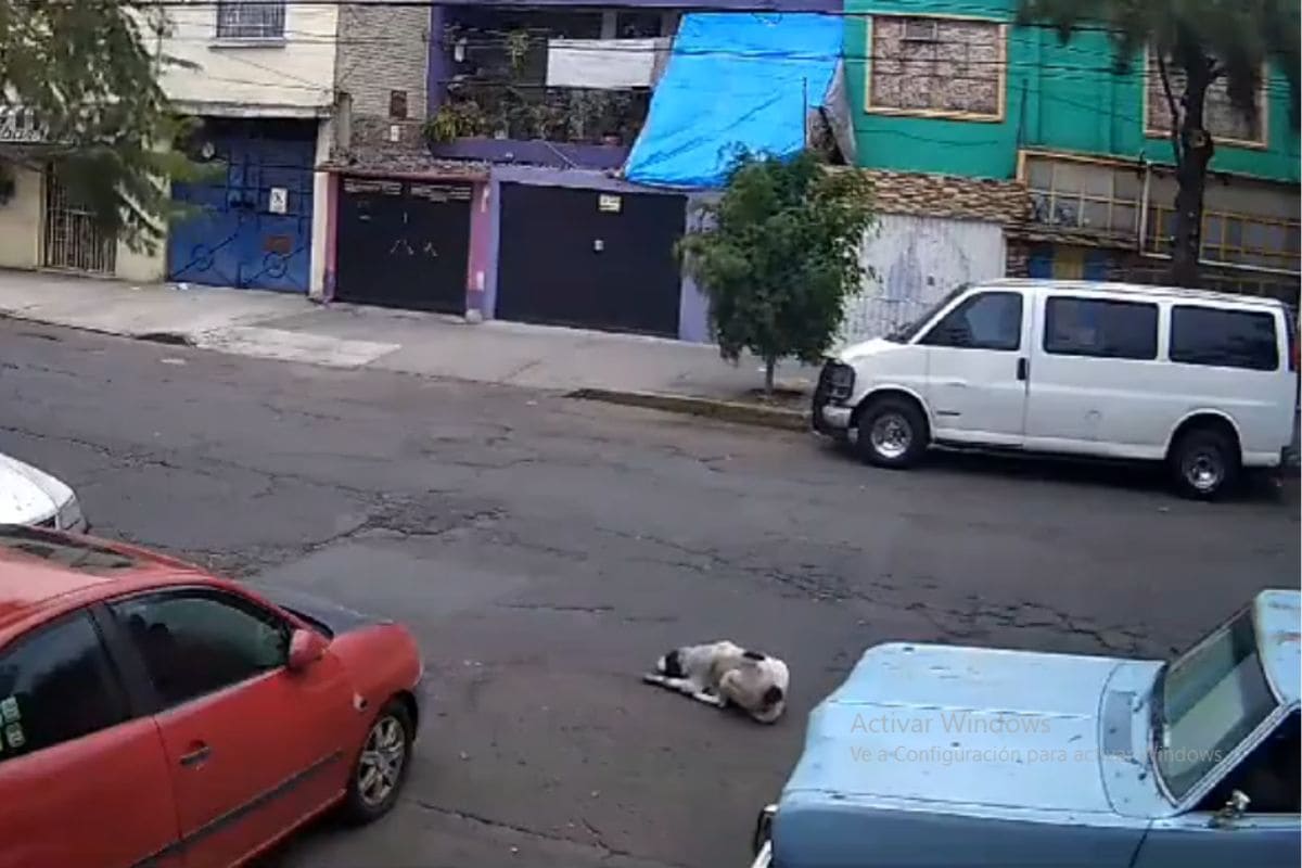 #JusticiaParaMax: Detienen a presunto militar que lo mató a balazos en CDMX 1 JusticiaParaMax