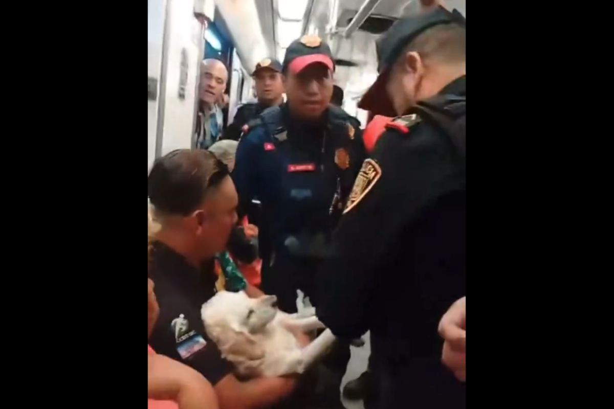 (VIDEO) Policías saca a hombre que llevaba a su perrito herido en el Metro de CDMX 1 sacan a hombre con perrito herido del metro CDMX