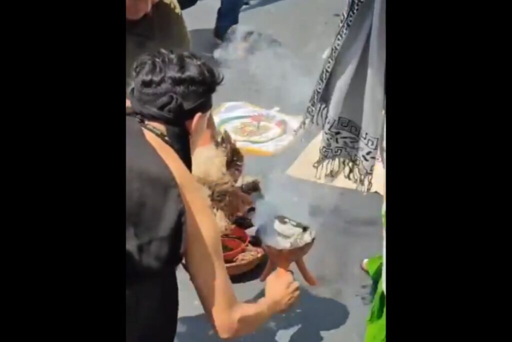 sacrifican gallina en el Senado