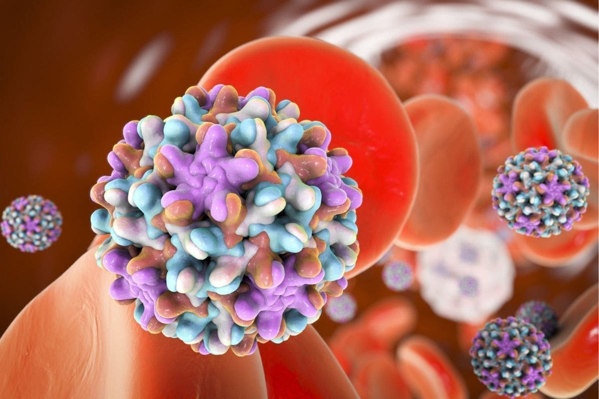 Virus B: Reportan a paciente grave en Hong Kong 1 virus b del mono