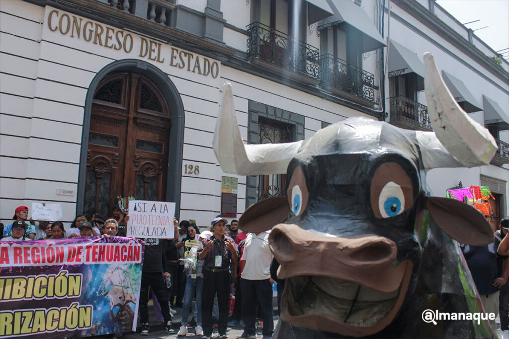 Manifestacion No la Prohibicion de Pirotecnia 2