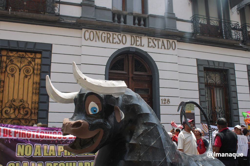 Manifestacion No la Prohibicion de Pirotecnia 3