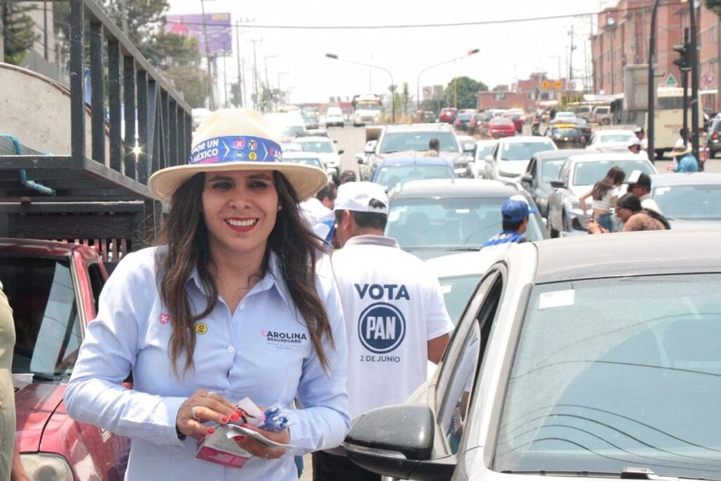carolina beauregard seguridad